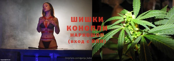apvp Богородицк
