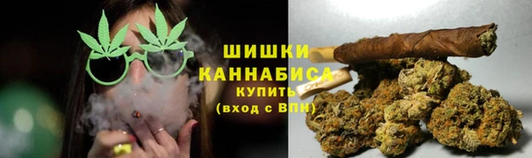 apvp Богородицк