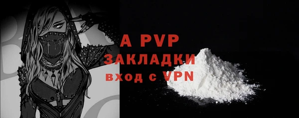 apvp Богородицк