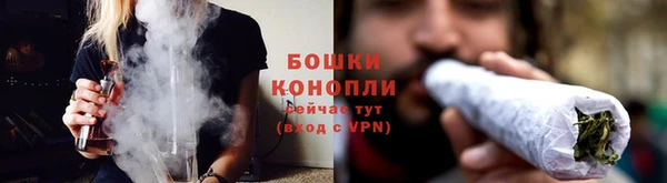 apvp Богородицк